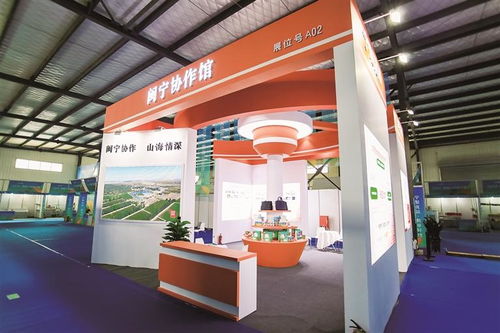 闽宁电商协作再续山海情 承办展览展示共谱新篇章